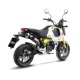 LV-10 Carbon Full system HONDA MSX 125 / GROM (22-24)